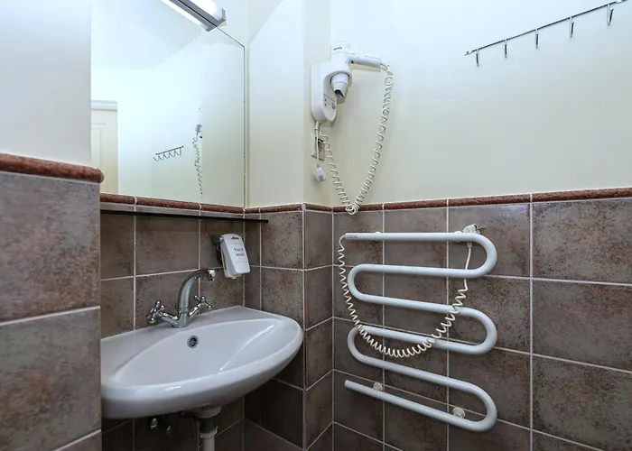 Alexa Old Town מלון וילנה